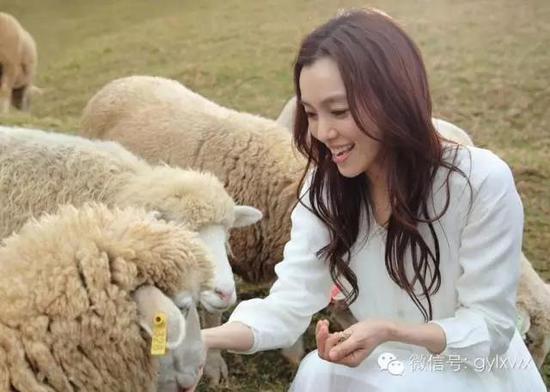 明星旅行糗事一籮筐 總有一個萌到你！