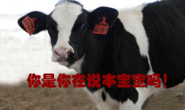 關我什么事！