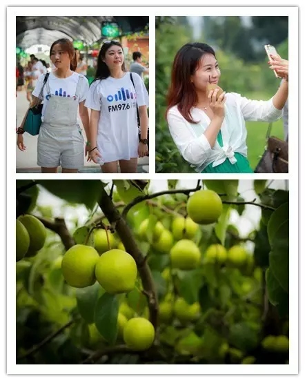 美女與香梨，你更愛哪一個(gè)？！