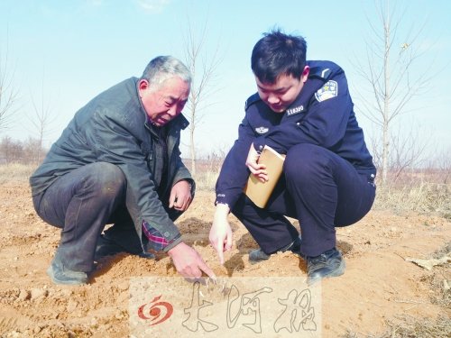 牡丹苗被盜之后，郭萬通又補種的牡丹苗已經發芽