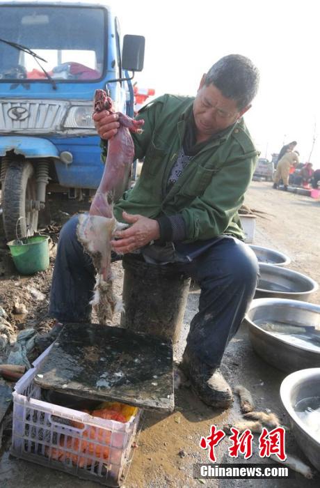 圖為12月1日，104國道靜?？h城附近，顧客挑好后，商販拎著死兔將皮完整地扒下來。田寶希 攝 圖片來