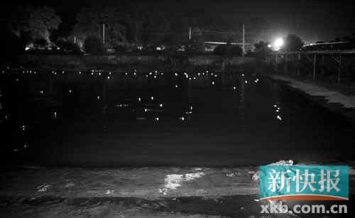 昨日，西湖村鱷魚養殖場已修復圍欄。