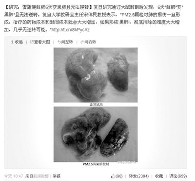 昨天，一則“霧霾使鮮肺6天變黑肺”的新聞在網上引發熱議。網絡截圖