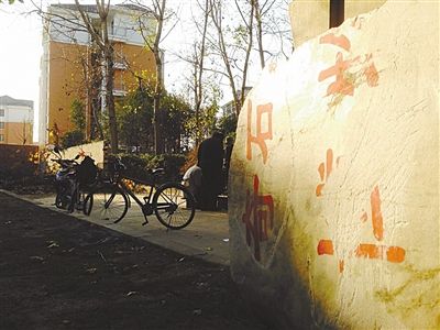 昨日，“上海奇石盆景博物館”原址上，已矗立起小區樓盤，而刻著博物館名的巨石，廢棄在一旁。本版圖片/新京報記者 張永生 攝