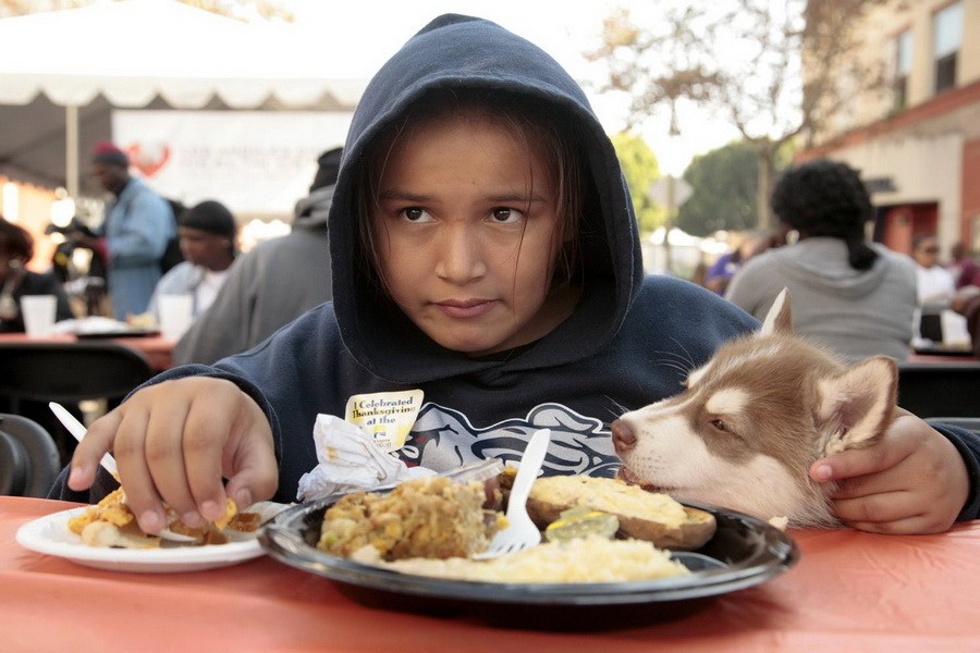 11月21日，加州洛杉磯的游民巷，12歲的堂娜·赫南德茲抱著愛犬“湯米”，安靜地吃著免費的感恩節(jié)飯菜