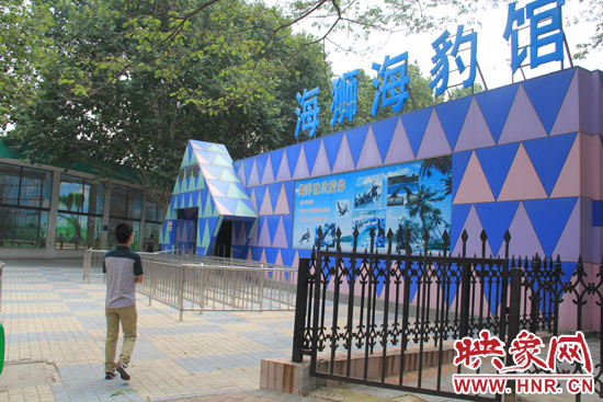 因?yàn)槭侵芤唬嵵菔袆?dòng)物園海洋館的游客并不多。