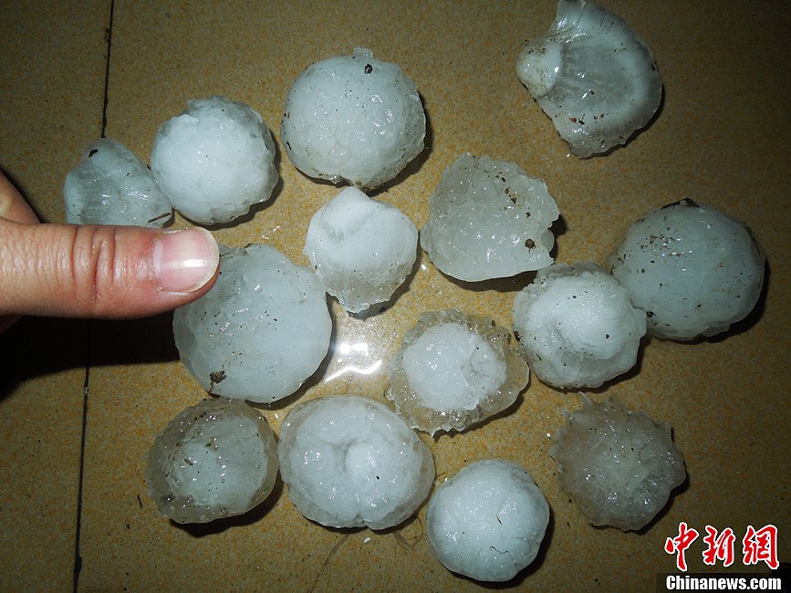 貴州省貴定縣鐵廠鄉(xiāng)遭受百年來最嚴重的冰雹災(zāi)害：造成直接經(jīng)濟損失1473萬元