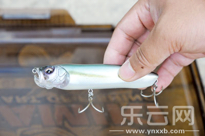 　　又稱擬餌釣魚,起源于歐洲,國內翻譯為“路亞”。