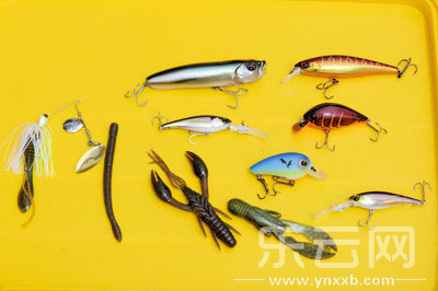 　　又稱擬餌釣魚,起源于歐洲,國內翻譯為“路亞”。