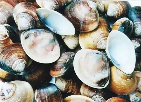 秋季最適合吃的海鮮是這10種 你吃對了嗎？