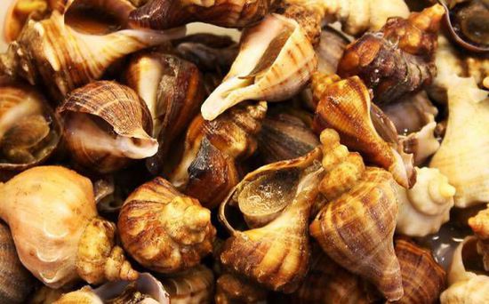秋季最適合吃的海鮮是這10種 你吃對了嗎？