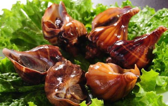 秋季最適合吃的海鮮是這10種 你吃對了嗎？