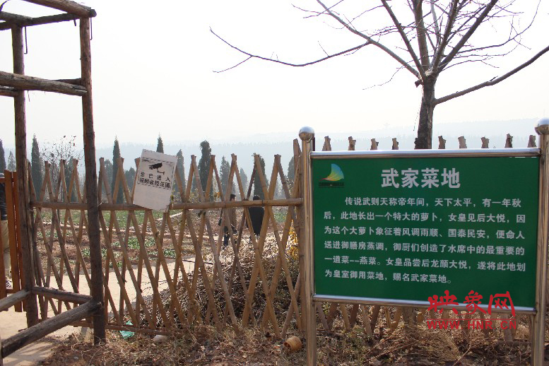 武家菜地就是這，據說里面有個特大的蘿卜