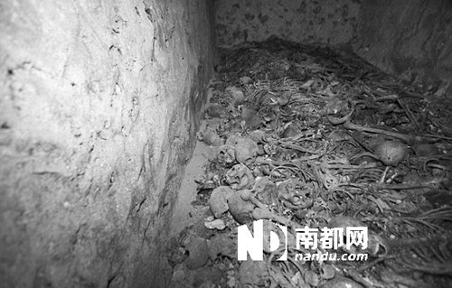 　5月29日，在以色列特拉維夫市雅法地區，一處集體墳墓被發現。
