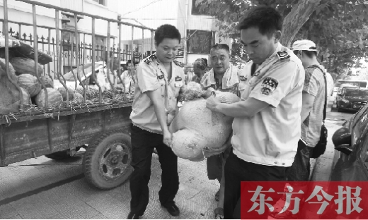 昨日，鄭州金水區(qū)執(zhí)法局的執(zhí)法隊員捐錢買瓜，替瓜農(nóng)解憂