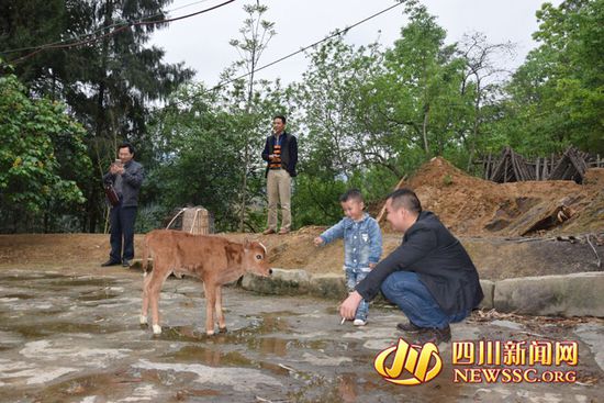 村里人知道后，前來(lái)看熱鬧