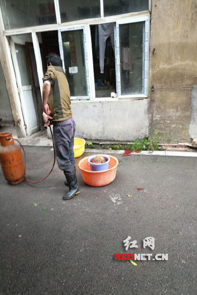 5月8日，男子在校園里殺狗，地上殘留一塊血跡。目擊者供圖。
