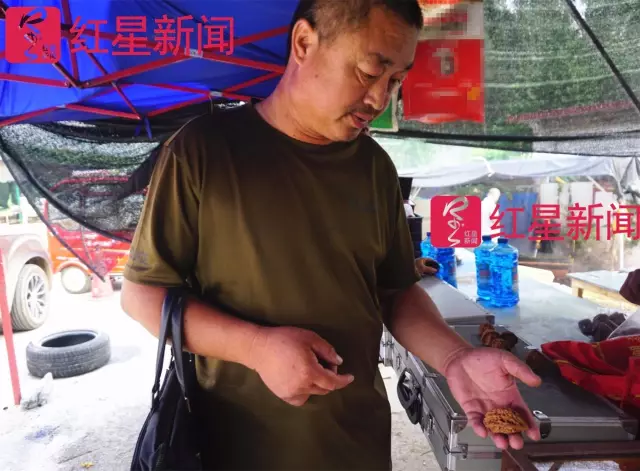 文玩核桃遇冷由幾萬(wàn)一對(duì)降到5元沒人要？商戶否認(rèn)