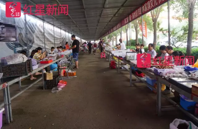 文玩核桃遇冷由幾萬(wàn)一對(duì)降到5元沒人要？商戶否認(rèn)