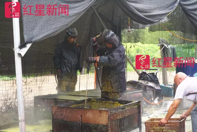 文玩核桃遇冷由幾萬(wàn)一對(duì)降到5元沒人要？商戶否認(rèn)