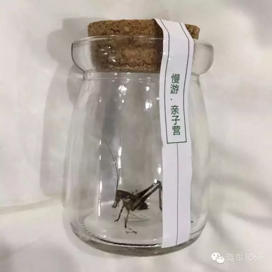 看看我的成果吧！