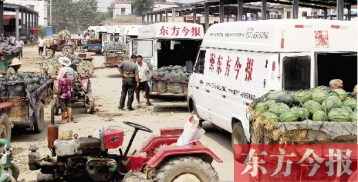 昨日，東方今報(bào)與河南福壽園聯(lián)合購(gòu)瓜，只有更多的市民和企業(yè)加入購(gòu)瓜行動(dòng)，瓜農(nóng)們才能早日回家