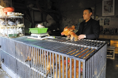 南京另一家農(nóng)貿(mào)市場內(nèi)待售的活雞。因南京出現(xiàn)H7N9禽流病例，買活雞的顧客減少。
