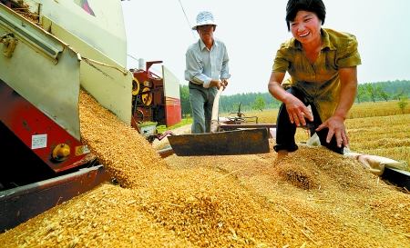 6月3日， 濮陽開發區胡村鄉后范莊村的續秀萍看著新打的粒大飽滿的小麥喜上眉梢。