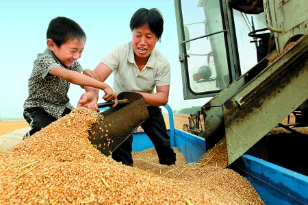5月27日，確山縣劉店鎮前槽村郭景蓮和小孫子一起收獲小麥，豐收的喜悅寫在了臉上。