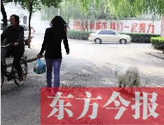 啟明一巷內(nèi)，一名女子帶著狗狗去買(mǎi)菜。狗隨地大小便，狗的主人未制止
