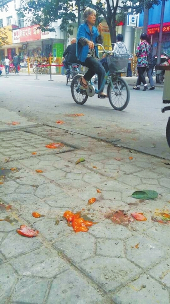 爛了一地的柿子影響市容，還常?；谷恕? width=