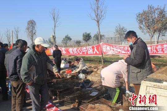 圖為百余名愛狗人士把老李的貨車攔截，數十人正在從貨車上卸下裝滿狗的鐵籠。　馬義恒　攝