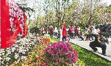 市民紛紛將鏡頭對準花叢。