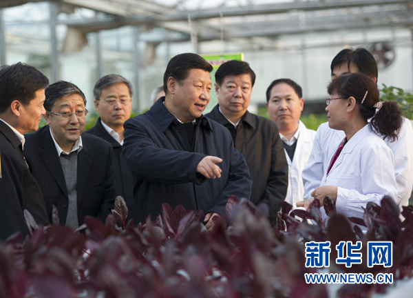  27日下午，習(xí)近平在山東省農(nóng)業(yè)科學(xué)院智能化溫室了解農(nóng)業(yè)科技創(chuàng)新情況。