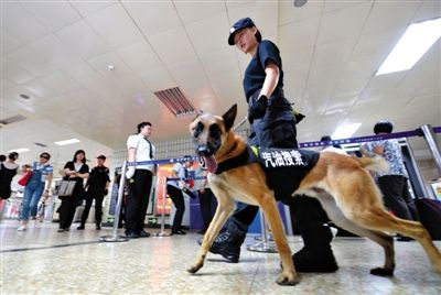 地鐵王府井站搜汽油警犬在安檢口巡邏。新京報記者 王貴彬 攝