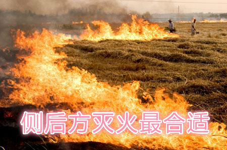 不要在風(fēng)頭上打火：風(fēng)正大，火正旺，最容易傷人；