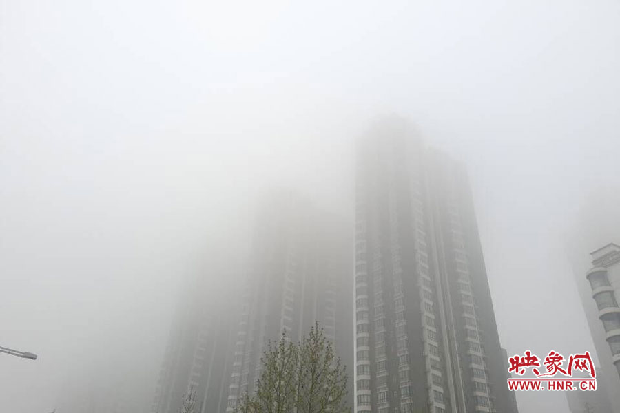鄭州現大霧天氣，宛若仙境