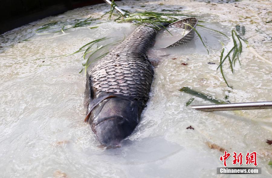 “魚王”在3米大鍋內烹飪。 圖片來源：CFP視覺中國