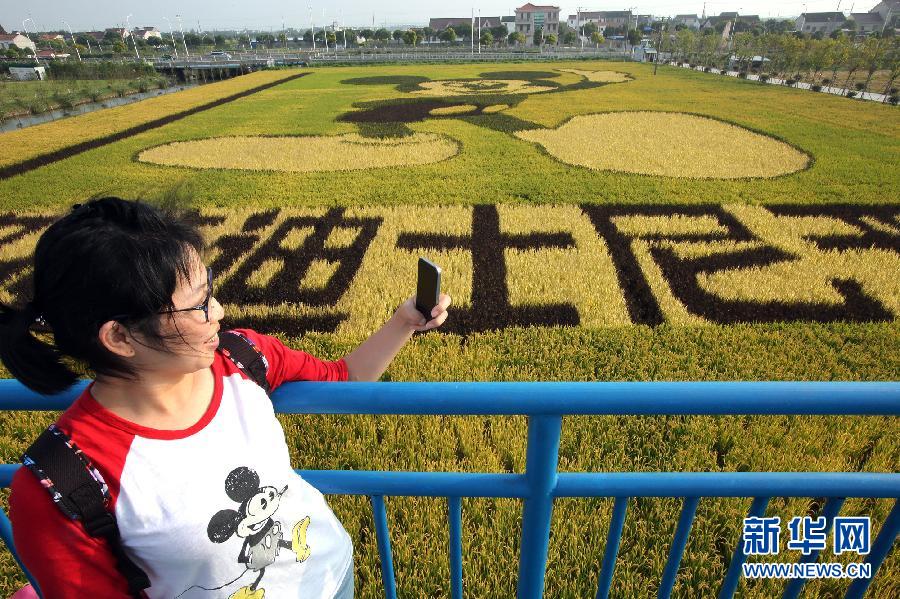 10月25日，游客在觀景臺上觀賞“米老鼠”稻田畫。