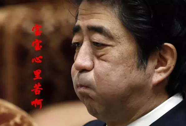 這種看安倍“熱鬧”的事兒，環環絕不私藏，一定雨露均沾!