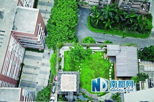 中旅商務(wù)大廈的“空中花園”。