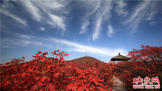 青天河景區(qū)空氣負離子濃度超高 是天然大氧吧