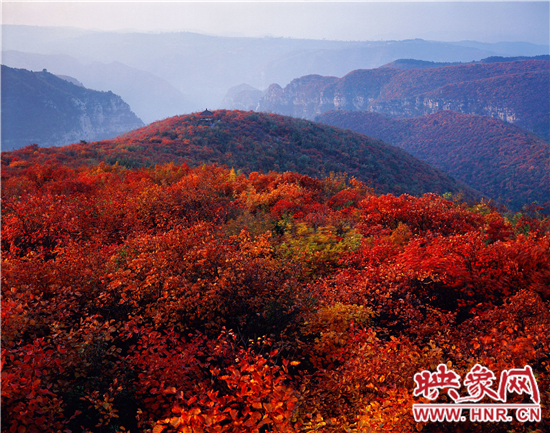 青天河景區(qū)空氣負離子濃度超高 是天然大氧吧