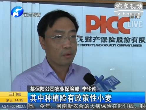 冰雹惹禍 損失能索賠嗎？