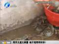 鄭開大道大閘蟹 缺斤短兩何時(shí)休？