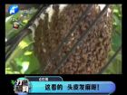這看的 頭皮發麻呀！-打漁曬網