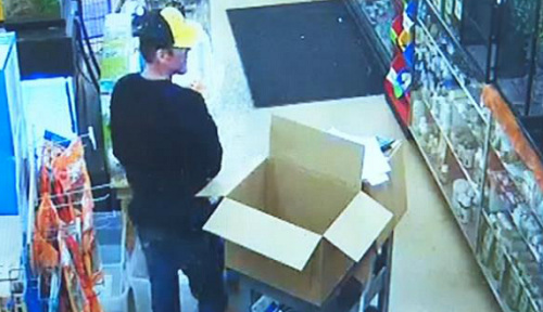 膽太大!男子把寵物店蟒蛇塞進(jìn)褲襠里偷走(圖)